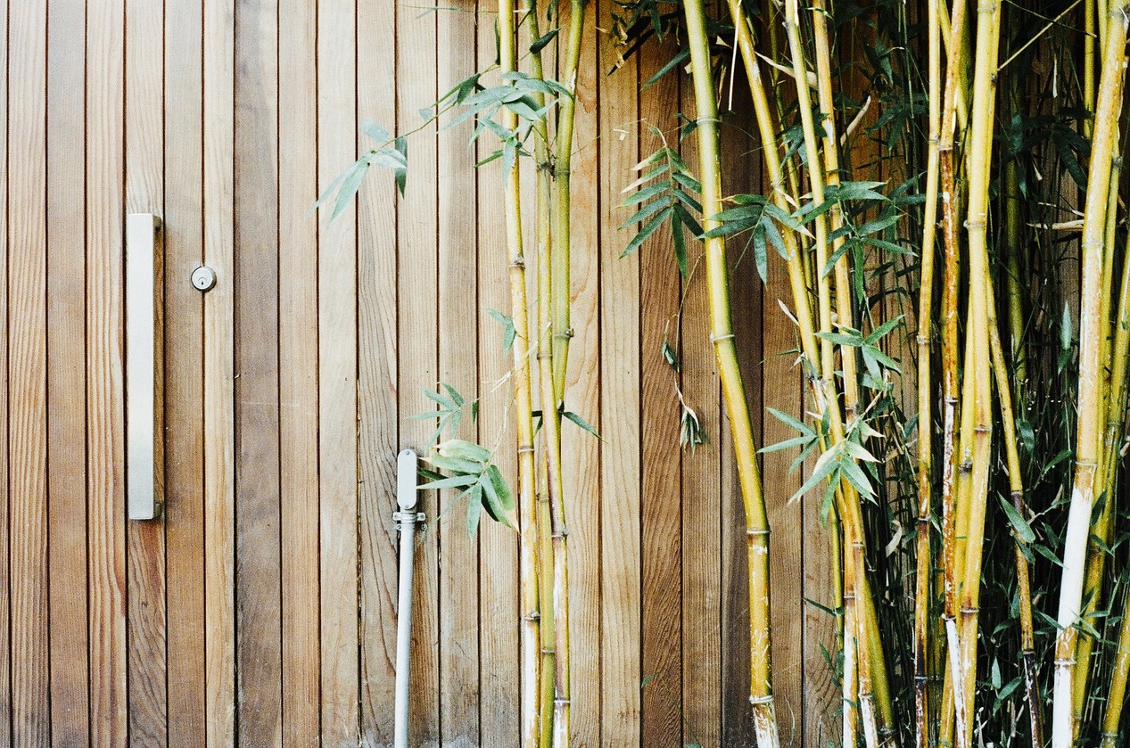 Bamboo Gates