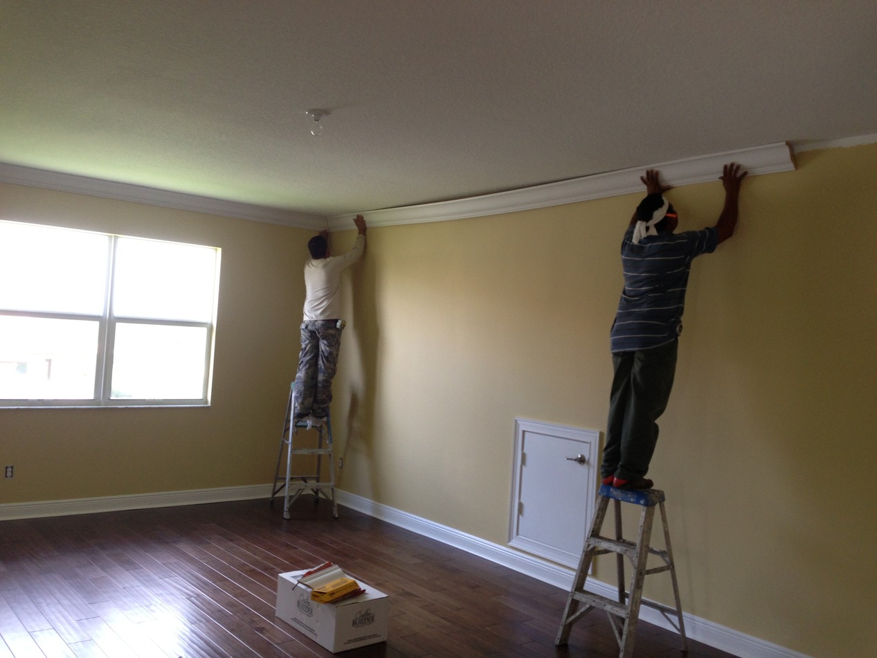 Interior House Painting | Best Color Painting