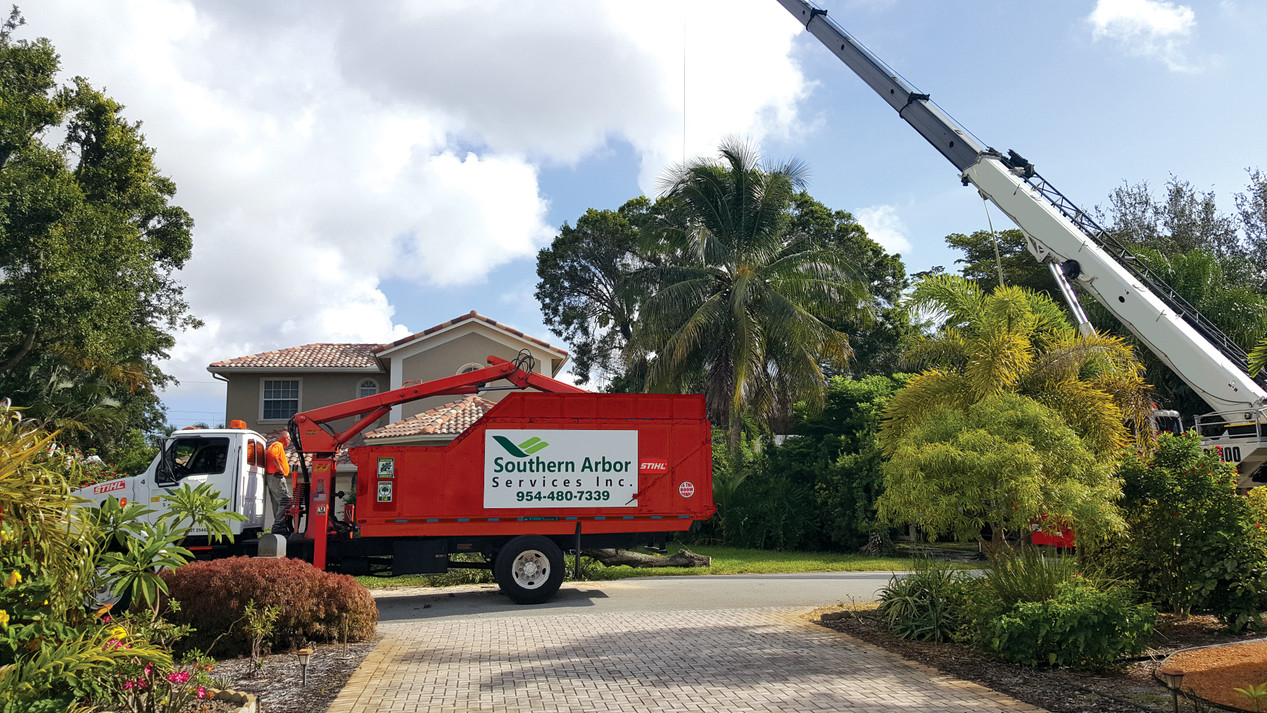 Tree Services | Taylor Total Tree Service