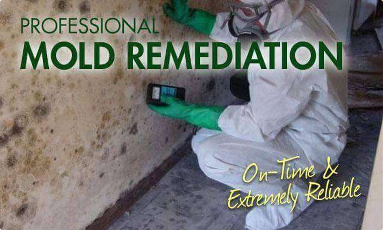 Mold Remediation