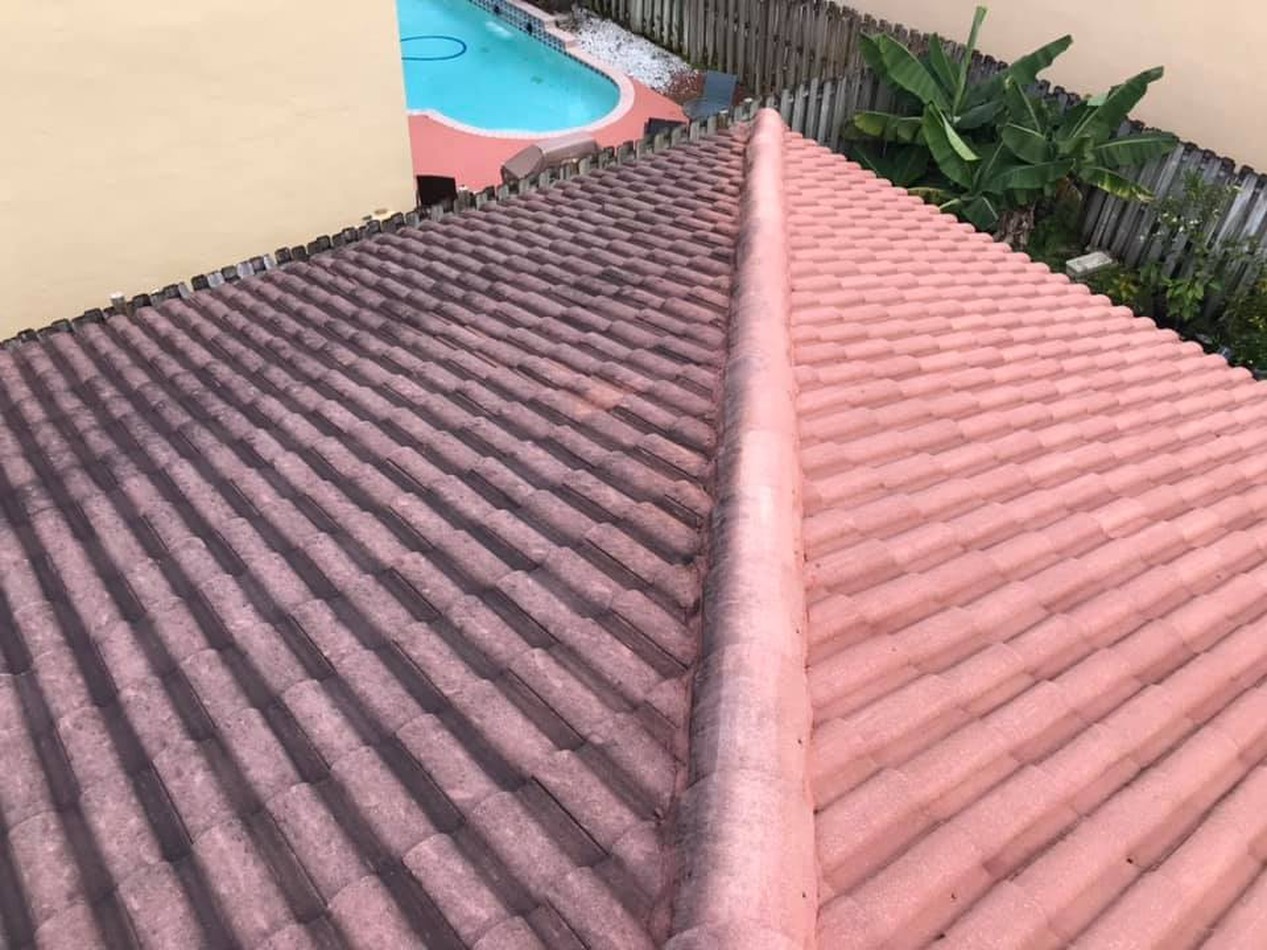 Power Cleaning Roofs