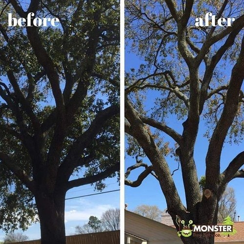 Landscape Designs & Tree Trimming | Lawn Stars Landscaping 