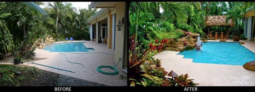 Before & After- Landscaping
