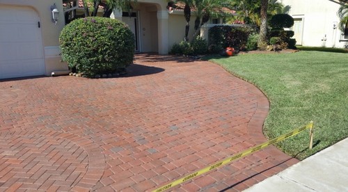 Stain Removal & Paver repairs