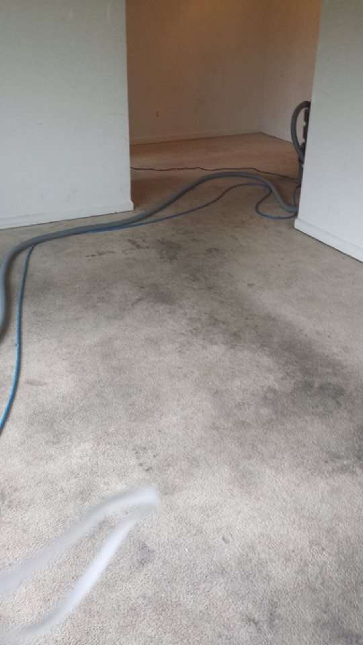 Carpet Cleaning Herndon