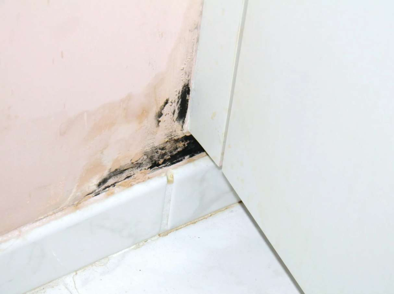 Water & Mold Damage