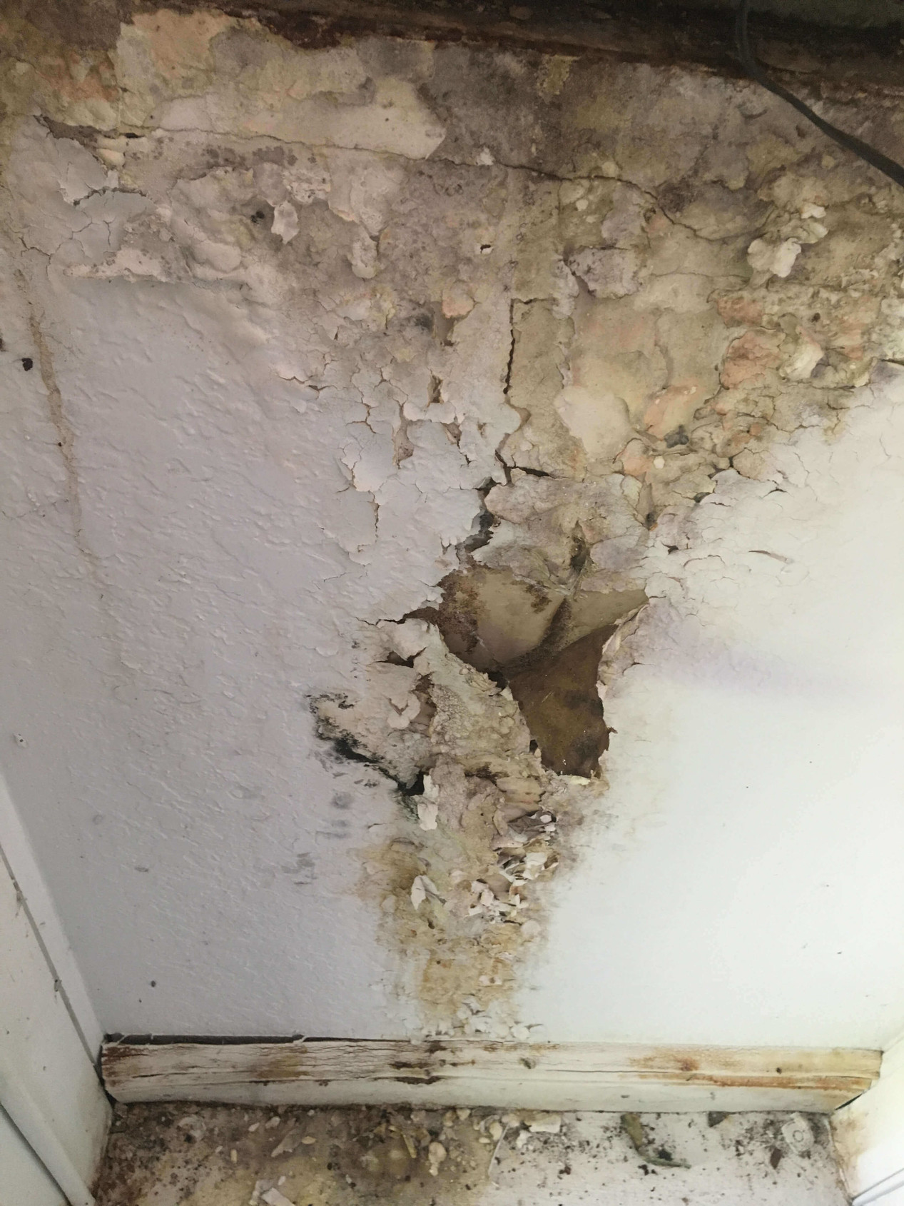 Mold Damages | Advanced Restoration Company Inc