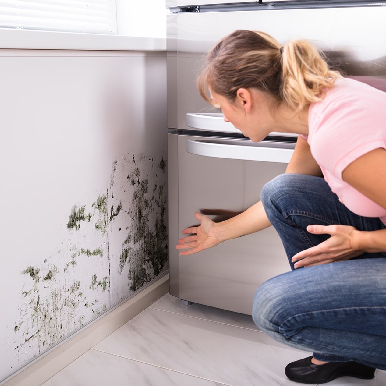 Mold Inspection & Removal