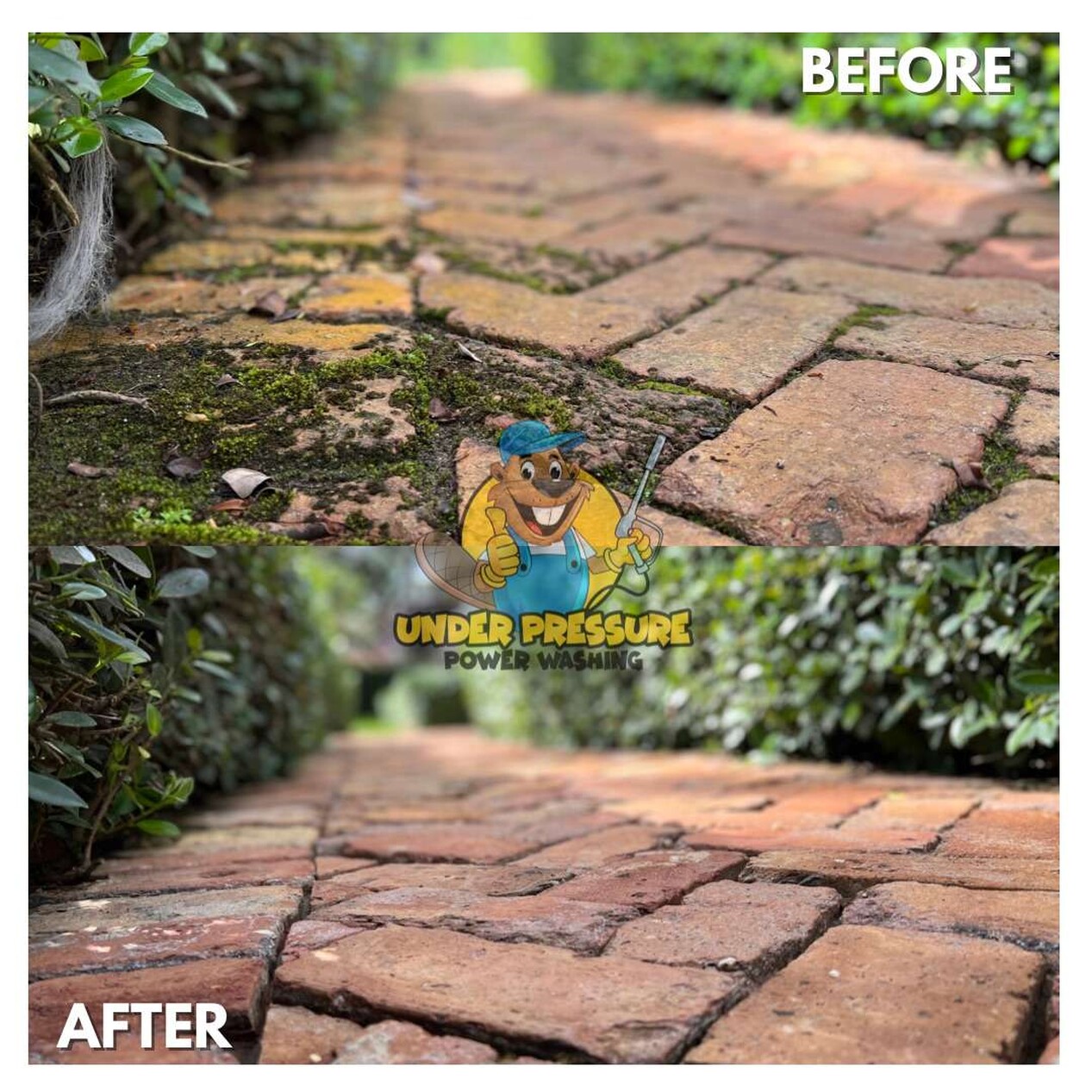 Residential Driveway Cleaning