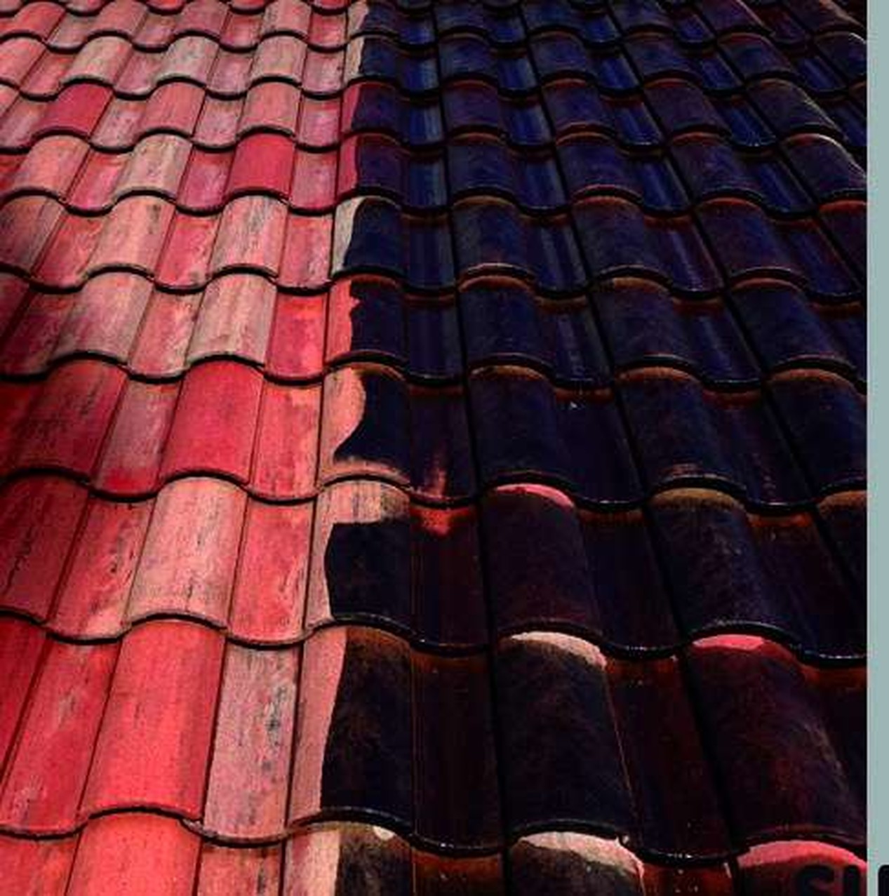 Tile Roof Cleaning